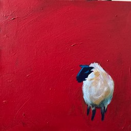 Redsheep2